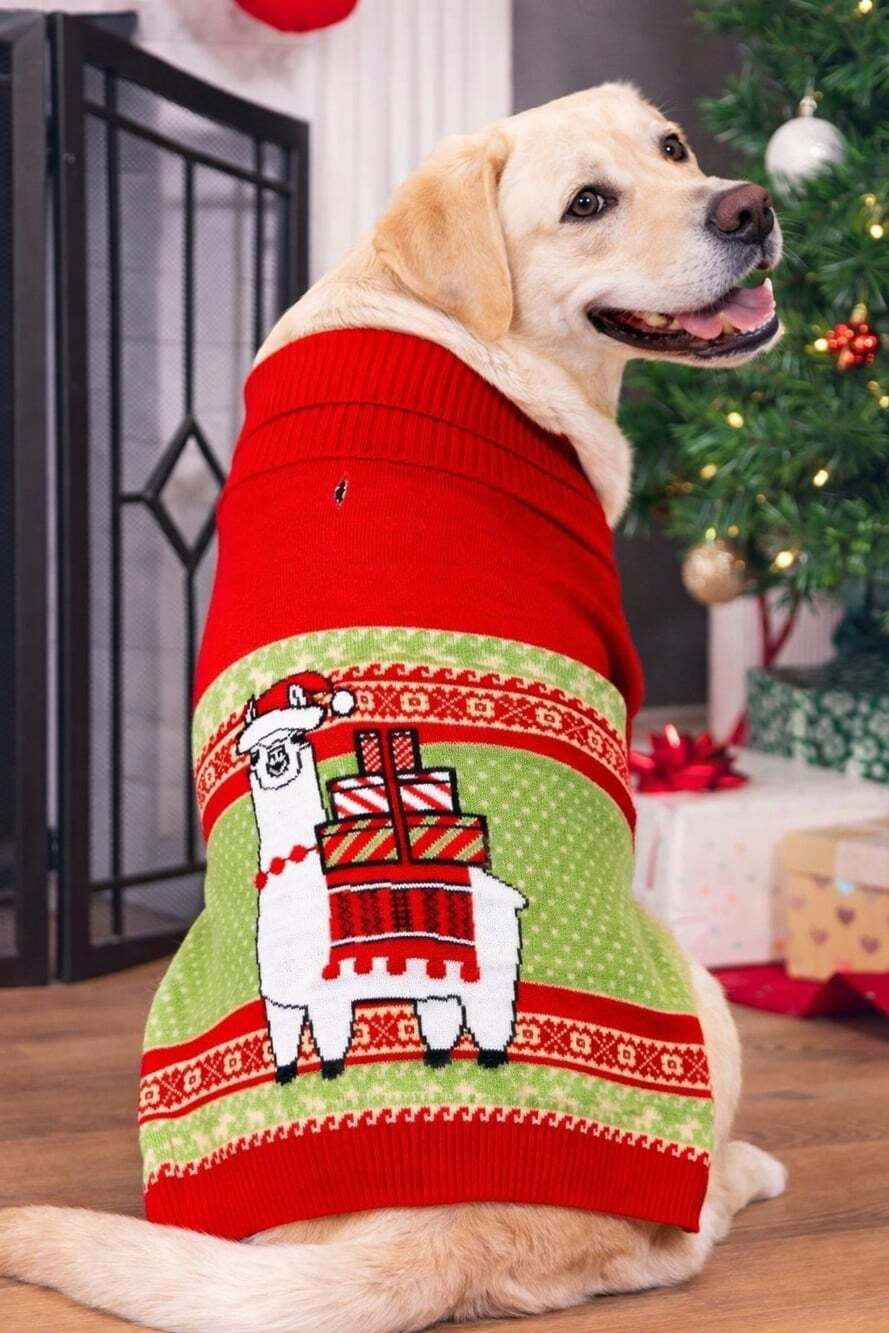 Llama Dog Holiday Christmas Pet Ugly Sweater Large Xmas Noel Funny New NWT
